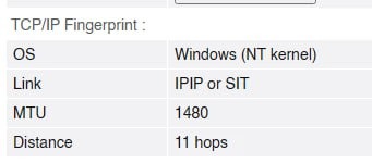 BrowserLeaks MTU 1400