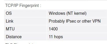BrowserLeaks MTU 1480