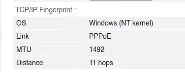 BrowserLeaks MTU 1492
