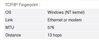 BrowserLeaks MTU 576